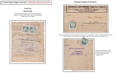 Blatt Nr. 12   