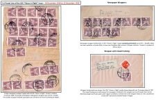 Blatt Nr. 14   