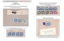 Blatt Nr. 17   