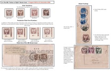 Blatt Nr. 19   